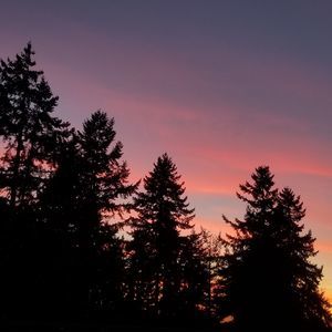 Meet your Posher, Mila